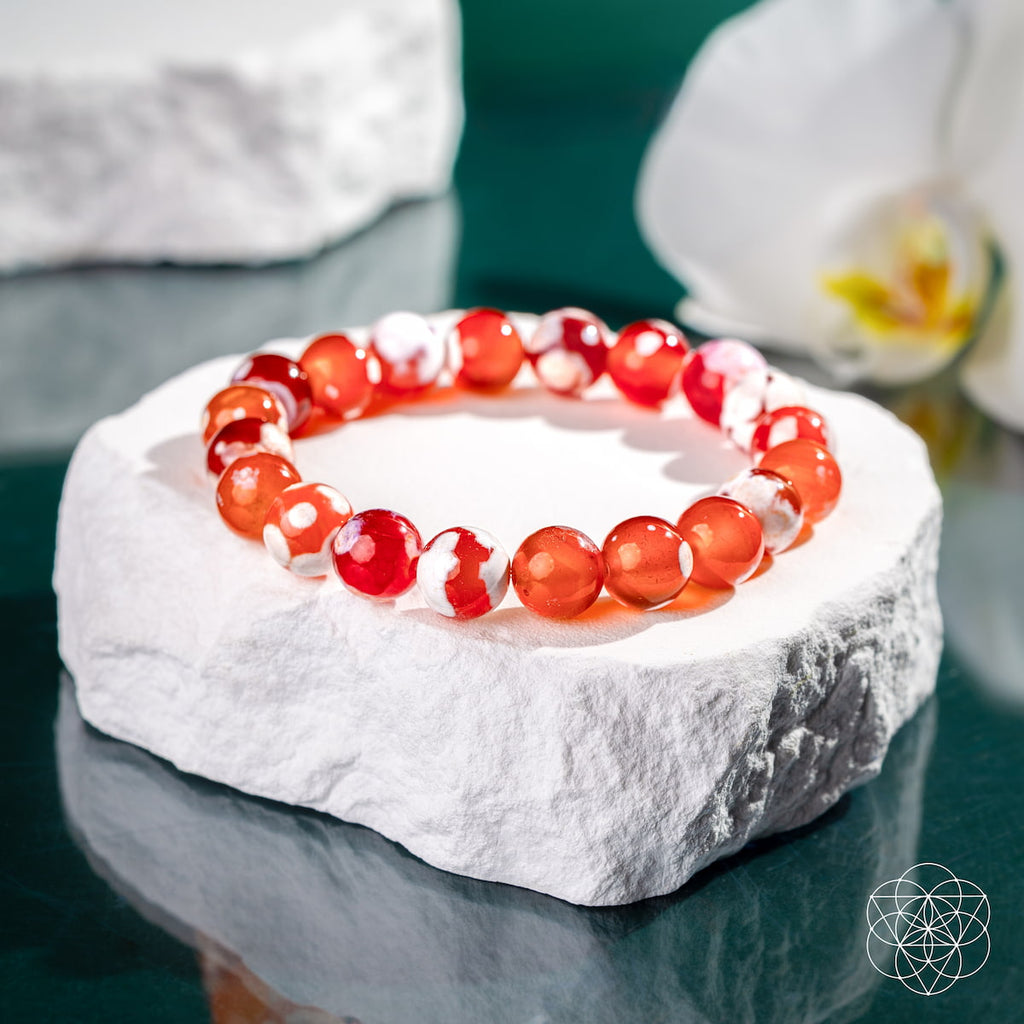 Feminine Force – Carnelian Orca Agate Bracelet Conscious Items